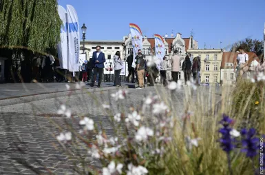 Plenerowa wystawa studentów kierunku design w biznesie: 20-lecie Uniwersytetu WSB Merito Bydgoszcz w roku 680. urodzin Miasta Bydgoszczy [ZDJĘCIA] | Aktualności | Uniwersytet WSB Merito Bydgoszcz: wernisaż wystawy prac studentów kierunku design w biznesie