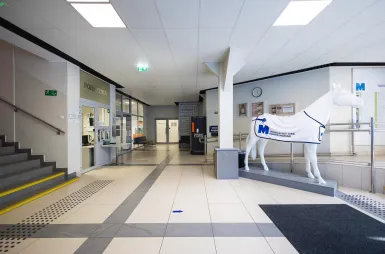 Student ABC | WSB Merito Poznań University: Poznań budynek CP