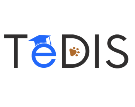 International Projects | WSB Merito Poznań University: TEDIS