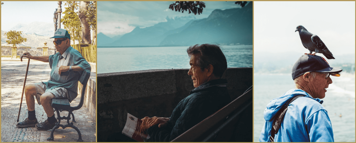 senior ptak starszy pan wycieczka krajobraz