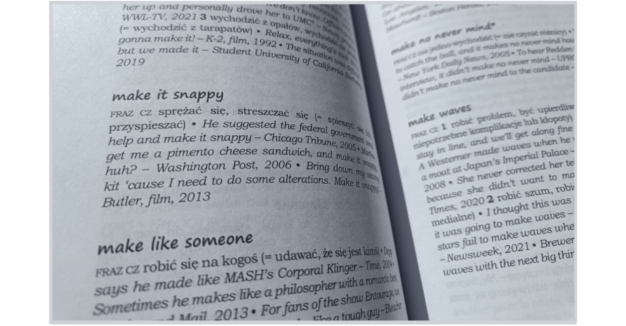 słownik książka tekst dane