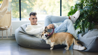 Psychologia | Studia jednolite magisterskie w Gdańsku | Uniwersytet WSB Merito w Gdańsku: Chłopak leży na puffie i bawi się szarpakiem ze szczeniakiem rasy corgi