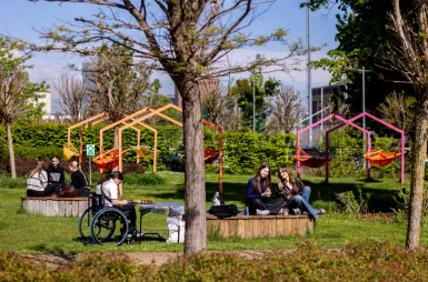 Zdrowie, integracja i wspólna zabawa. Za nami Rodzinny Piknik Zdrowia i Uśmiechu | Aktualności | Uniwersytet WSB Merito w Gdańsku: Piknik Uniwersytetu WSB Merito w Gdańsku