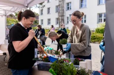 Zdrowie, integracja i wspólna zabawa. Za nami Rodzinny Piknik Zdrowia i Uśmiechu | Aktualności | Uniwersytet WSB Merito w Gdańsku: Piknik Uniwersytetu WSB Merito w Gdańsku