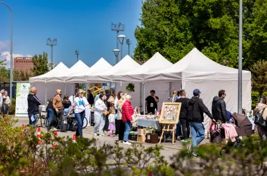 Zdrowie, integracja i wspólna zabawa. Za nami Rodzinny Piknik Zdrowia i Uśmiechu | Aktualności | Uniwersytet WSB Merito w Gdańsku: Piknik Uniwersytetu WSB Merito w Gdańsku