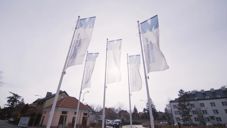 AI i marka osobista eksperta – jak budować autorytet w świecie nowych technologii | Szkolenia i kursy w Gdańsku | Uniwersytet WSB Merito w Gdańsku: Zdjęcie spod kampusu UWSB Merito w Gdańsku. Na głównym planie są flagi z logo uczelni