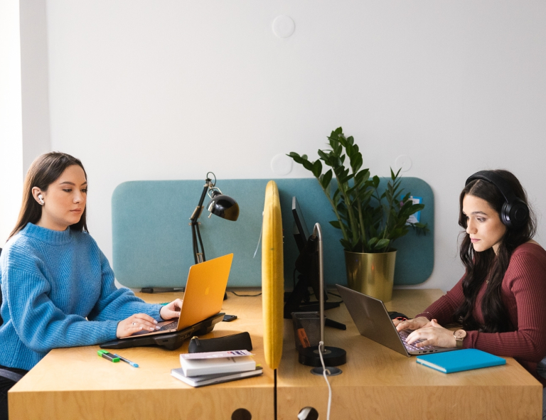 Programowanie aplikacji webowych | Studia II stopnia ze studiami podyplomowymi  | Uniwersytet WSB Merito w Gdańsku: Studentki przy biurku przy laptopach podczas pracy