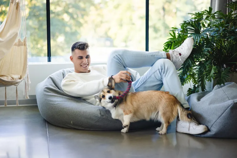 Psychologia w marketingu | Uniwersytet WSB Merito w Gdańsku: Chłopak leży na puffie i bawi się szarpakiem ze szczeniakiem rasy corgi