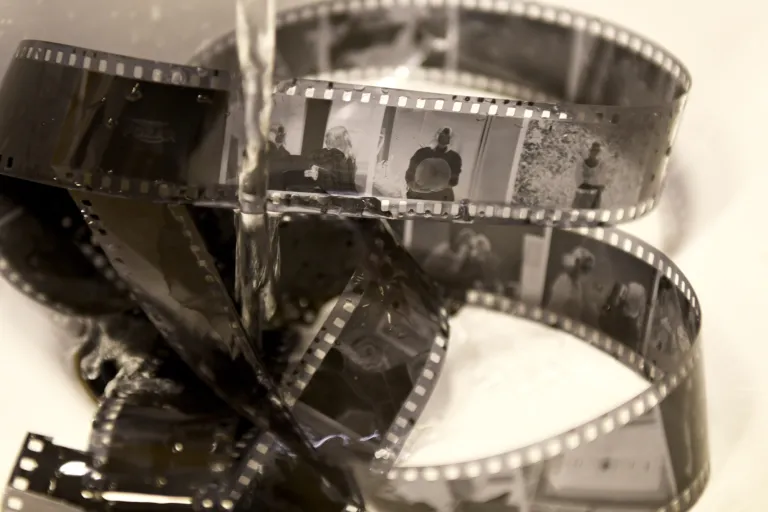 Pierwsze kroki w fotografii analogowej – relacja z warsztatów | Aktualności | Uniwersytet WSB Merito w Gdańsku: Warsztaty z fotografii analogowej