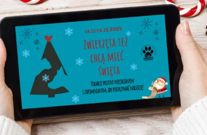 Aktualności | Uniwersytet WSB Merito Gdynia: Zwierzęta też chcą mieć święta - akcja Ciapkowa