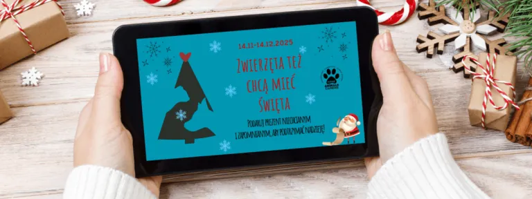 Podaruj prezent zwierzakom z Ciapkowa | Aktualności | Uniwersytet WSB Merito Gdynia: Zwierzęta też chcą mieć święta - akcja Ciapkowa