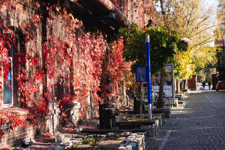 Drzwi Otwarte Uniwersytetu WSB Merito w Poznaniu | Aktualności | Uniwersytet WSB Merito w Poznaniu: CP