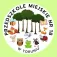 Pedagogika przedszkolna i wczesnoszkolna | Studia jednolite magisterskie w Toruniu | Uniwersytet WSB Merito w Toruniu: Przedszkole Miejskie nr 18 w Toruniu
