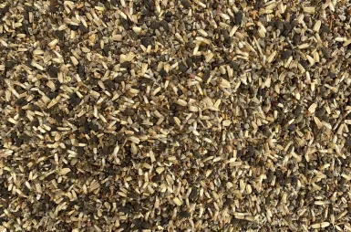 Łąka kwietna na kampusie | Uniwersytet WSB Merito we Wrocławiu: wysiewanie łąki kwietnej