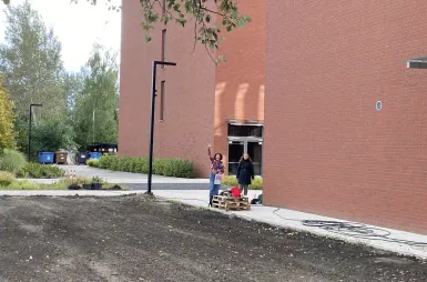 Łąka kwietna na kampusie | Uniwersytet WSB Merito we Wrocławiu: wysiewanie łąki kwietnej