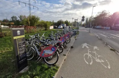 Rowerem na uczelnię? W drogę! | Uniwersytet WSB Merito we Wrocławiu: stacja rowerowa