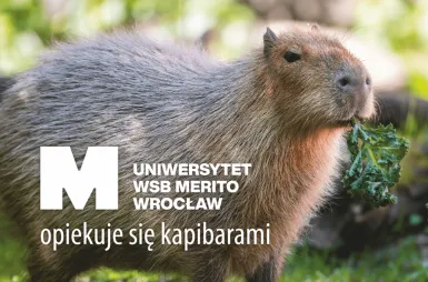 Opiekujemy się kapibarami w ZOO Wrocław! | Aktualności | Uniwersytet WSB Merito we Wrocławiu: Kapibary objęte opieką