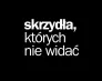 Poznaj nas | Uniwersytet WSB Merito we Wrocławiu: skrzydła, których nie widać