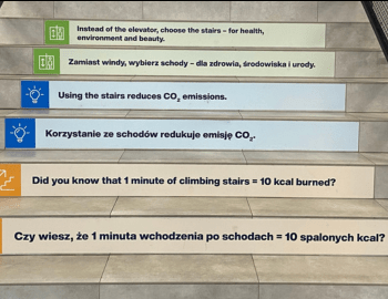 Zrównoważony rozwój | Uniwersytet WSB Merito we Wrocławiu: schody z hasłami dotyczącymi zrównoważonego rozwoju