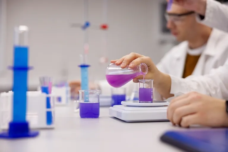 Dietetyka kliniczna i dietoterapia chorób niezakaźnych | Studia II stopnia we Wrocławiu | Uniwersytet WSB Merito we Wrocławiu: studenci na zajęciach z reakcji